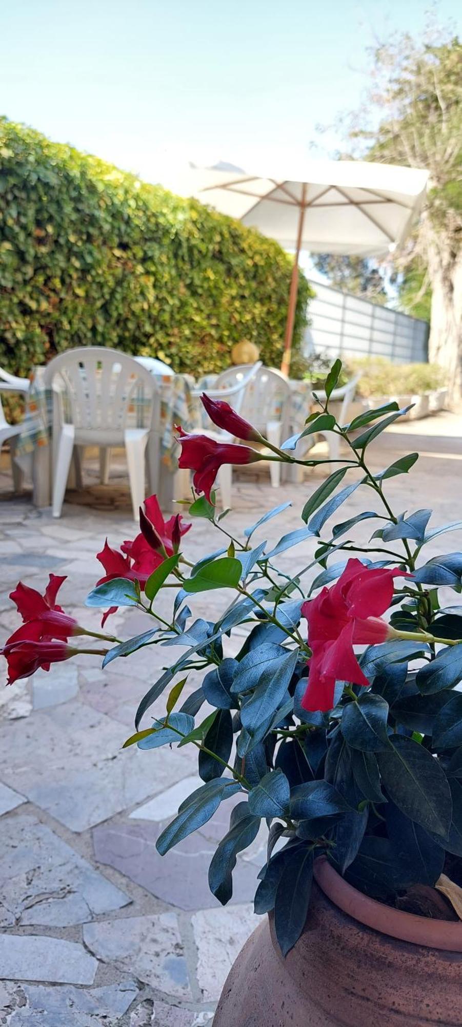Hotel Lea Grosseto Extérieur photo